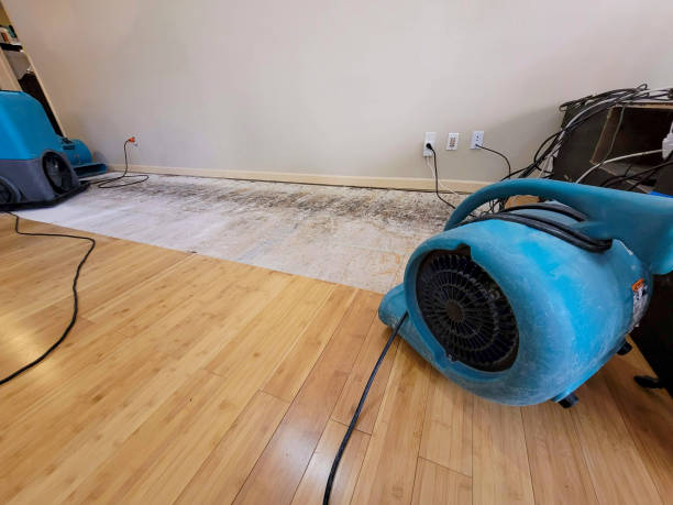 Professional Emergency Water Damage technician working in Elbert, CO